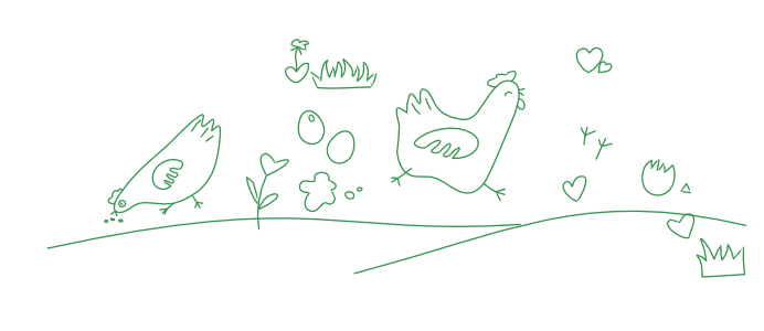 About Image