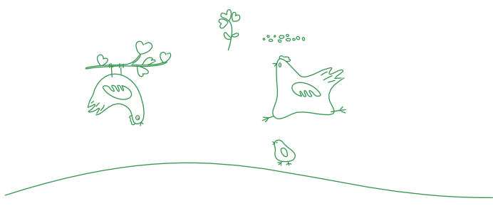 About Image